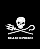 Sea Shepherd Österreich Logo